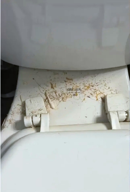 Lavender-Lush-Cleaning_Comparison-2.1