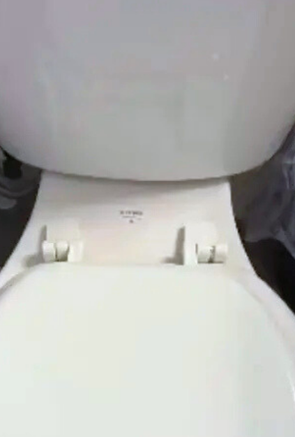 Lavender-Lush-Cleaning_Comparison-2.2