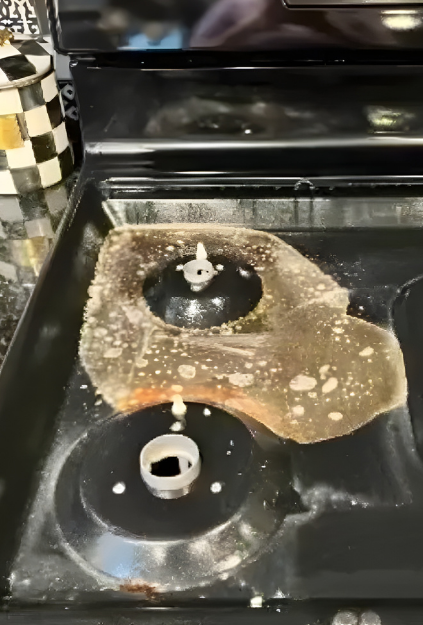 Lavender-Lush-Cleaning_Comparison-3.1